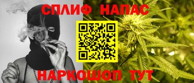 сатива Моздок