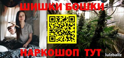 сатива Моздок