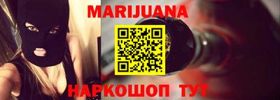 сатива Моздок